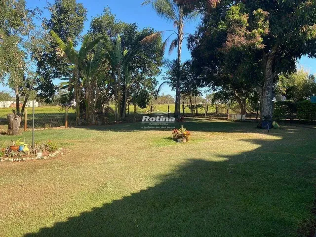Imagem 8: Chacara À Venda, 2 Quartos, Chacaras Eldorado - Uberlândia/Mg - Rotina Imobiliária
