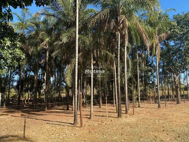 Imagem 10: Chacara À Venda, 2 Quartos, Chacaras Eldorado - Uberlândia/Mg - Rotina Imobiliária