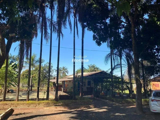 Imagem 5: Chacara À Venda, 2 Quartos, Chacaras Eldorado - Uberlândia/Mg - Rotina Imobiliária