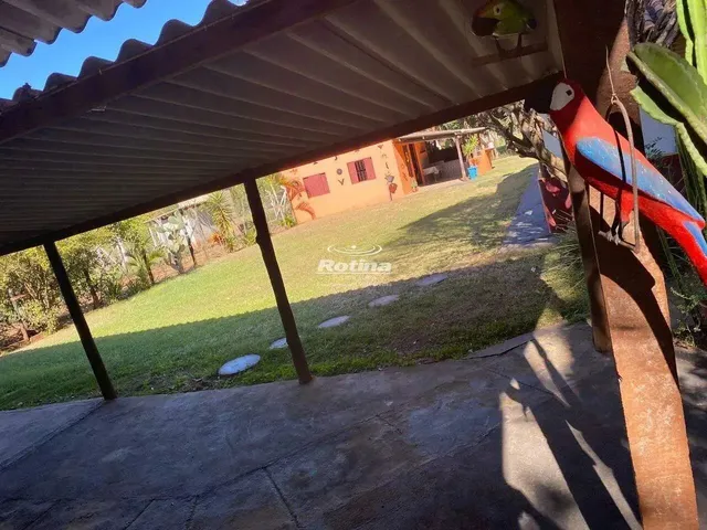 Imagem 9: Chacara À Venda, 2 Quartos, Chacaras Eldorado - Uberlândia/Mg - Rotina Imobiliária
