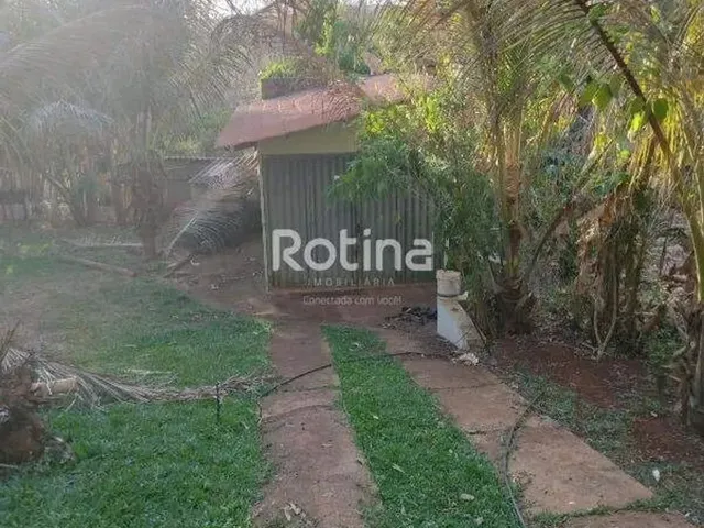 Imagem 7: Chacara À Venda, 2 Quartos, Represa de Miranda - Indianópolis/Mg - Rotina Imobiliária