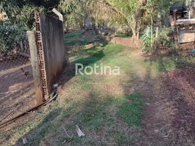 Imagem 5: Chacara À Venda, 2 Quartos, Represa de Miranda - Indianópolis/Mg - Rotina Imobiliária