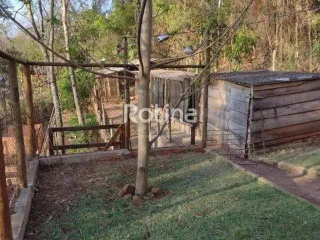 Imagem 6: Chacara À Venda, 2 Quartos, Represa de Miranda - Indianópolis/Mg - Rotina Imobiliária