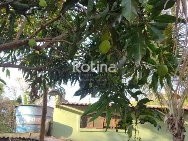 Imagem 3: Chacara À Venda, 2 Quartos, Represa de Miranda - Indianópolis/Mg - Rotina Imobiliária