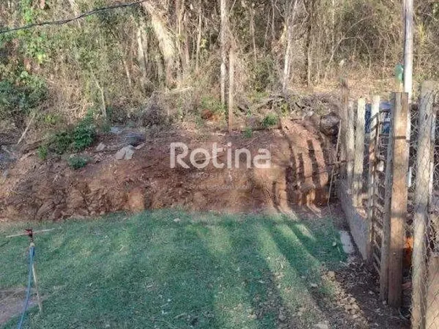 Imagem 8: Chacara À Venda, 2 Quartos, Represa de Miranda - Indianópolis/Mg - Rotina Imobiliária
