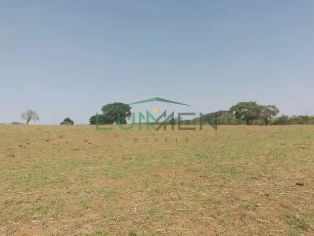 Imagem: Fazenda com 9,42 Alqueires Mineiro À Venda