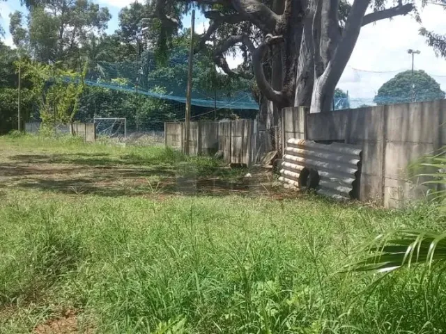 Imagem: Terreno a Venda no Bairro Presidente Roosevelt