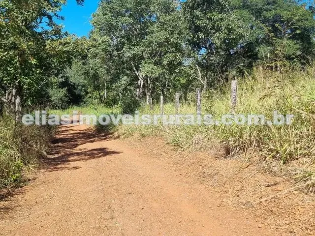Imagem 2: Sítio Meio Alqueire - com Córrego