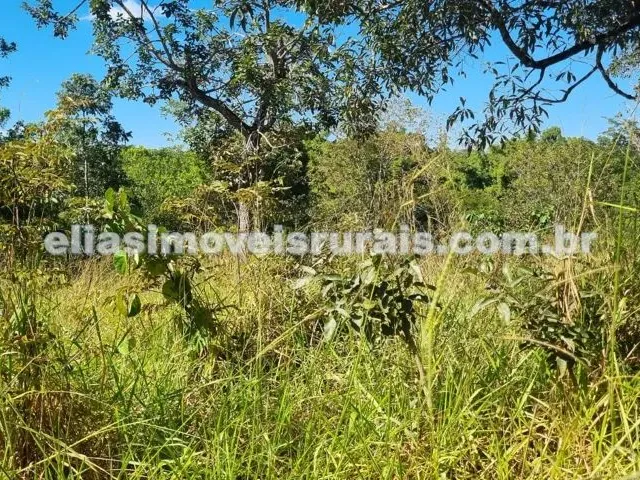 Imagem 5: Sítio Meio Alqueire - com Córrego