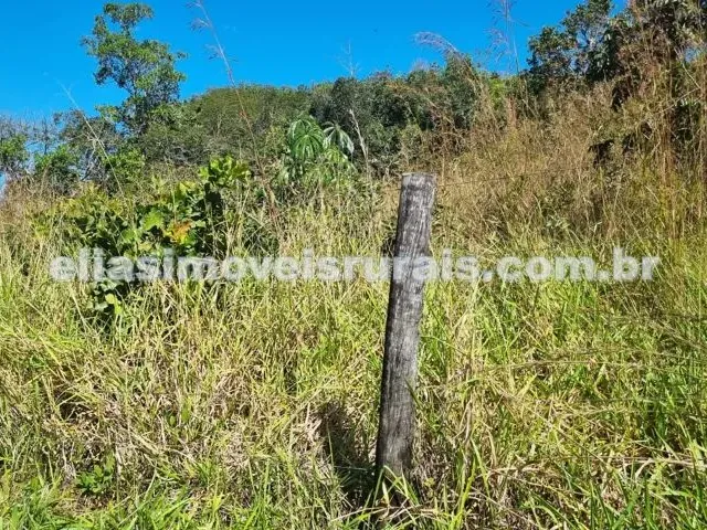 Imagem 11: Sítio Meio Alqueire - com Córrego