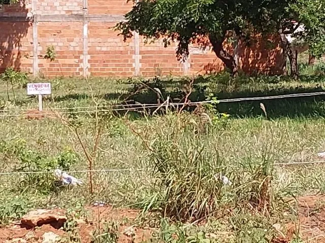Imagem 3: Chacara Bairro Morada Nova 1000 M2 - 02 Ruas Abaixo da Av Aldo Borges
