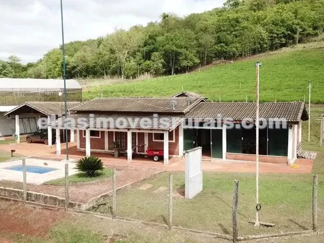 Imagem: Sítio 8,46 Hectares - Indianópolis