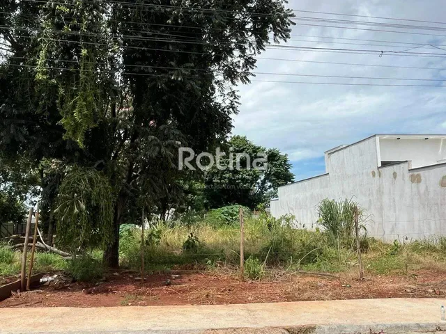 Imagem: Terreno À Venda, Cidade Jardim - Uberlândia/Mg