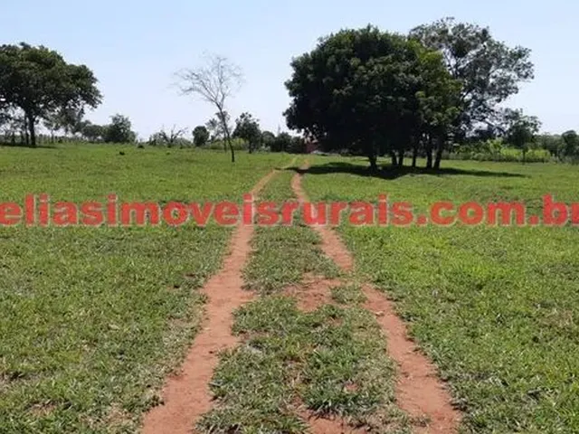 Imagem 2: Sítio 11,75 Hectares - Monte Alegre