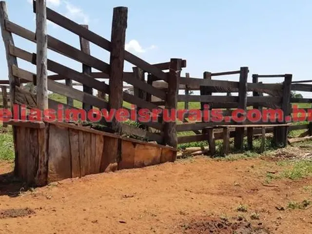 Imagem 6: Sítio 11,75 Hectares - Monte Alegre
