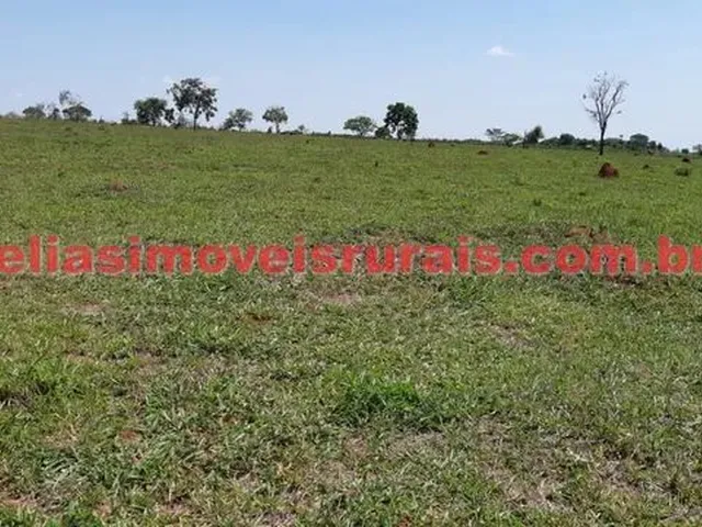 Imagem 8: Sítio 11,75 Hectares - Monte Alegre