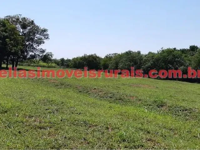 Imagem 11: Sítio 11,75 Hectares - Monte Alegre