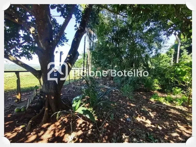 Imagem 6: Venda Chácara Area Rural de Uberlandia