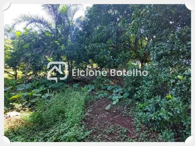 Imagem 10: Venda Chácara Area Rural de Uberlandia