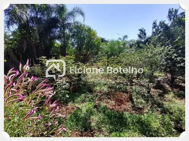 Imagem 15: Venda Chácara Area Rural de Uberlandia
