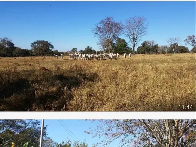Imagem: Fazenda Próximo Uberlândia