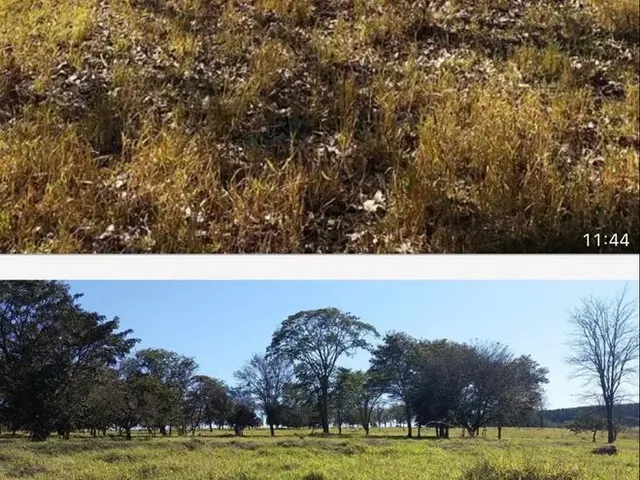 Imagem 4: Fazenda Próximo Uberlândia