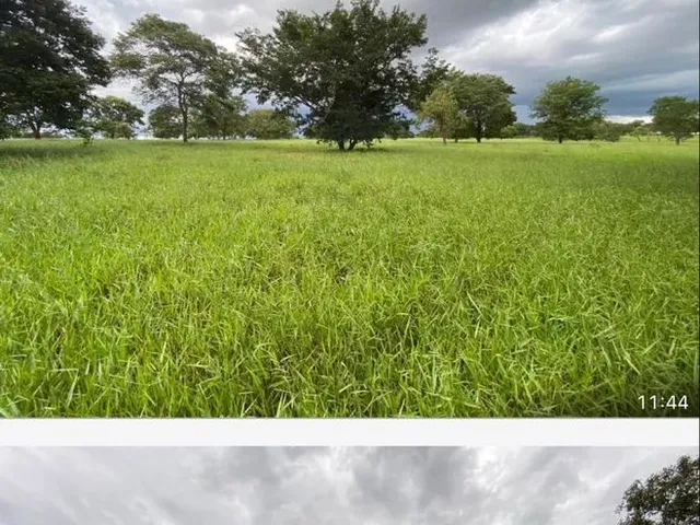 Imagem 7: Fazenda Próximo Uberlândia