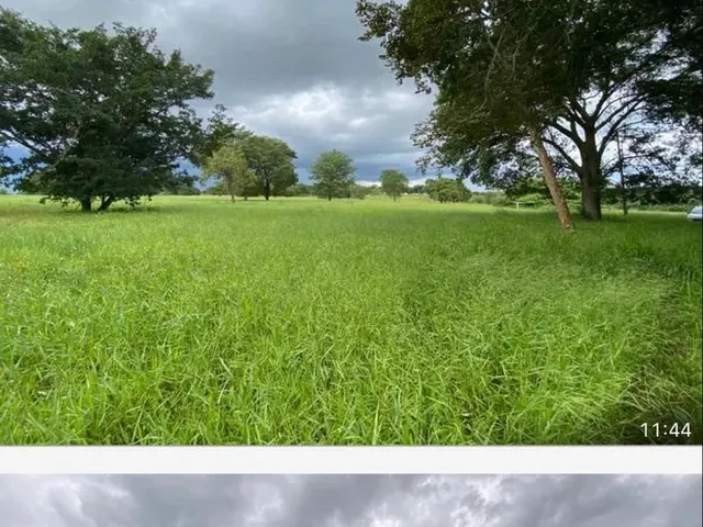 Imagem 2: Fazenda Próximo Uberlândia