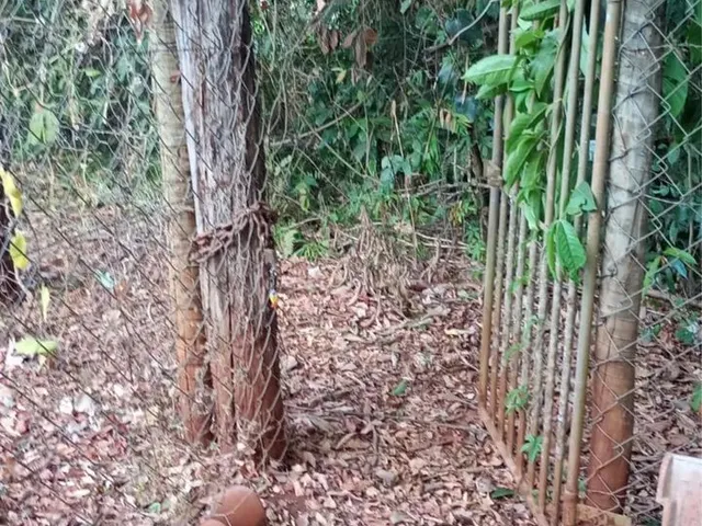 Imagem 7: Chácara - Represa de Miranda 6