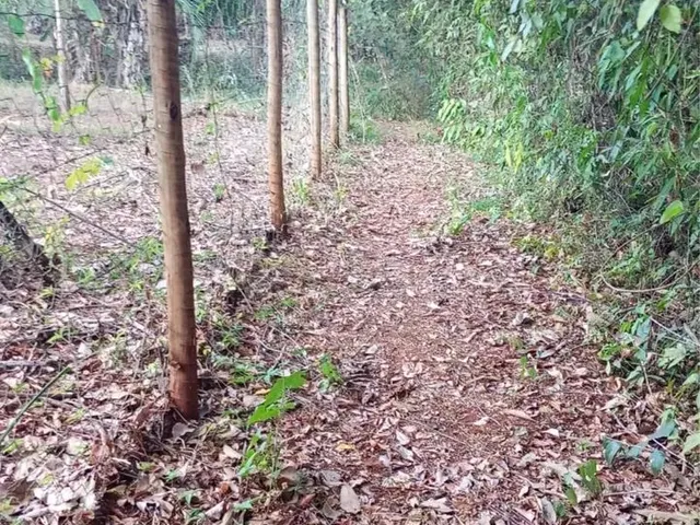 Imagem 9: Chácara - Represa de Miranda 6