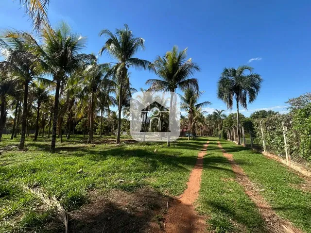 Imagem: Chácara para Locação no Bairro Jockey