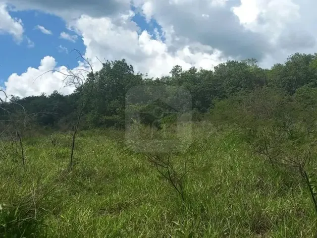 Imagem 1: Área para Venda na Represa de Miranda