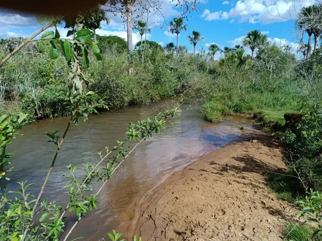 Imagem: Área Rural para Venda no Monte Alegre