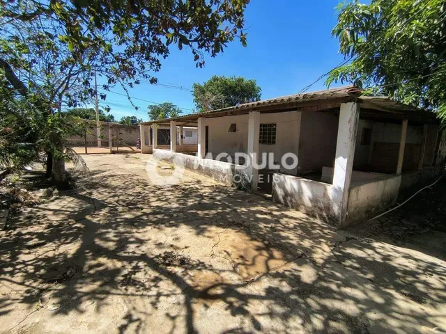 Imagem: Chácara para Locação no Bairro Morada