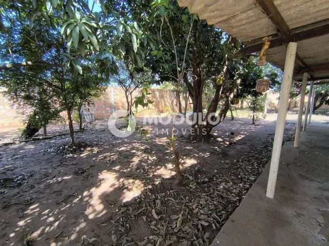 Imagem 3: Chácara para Locação no Bairro Morada Nova