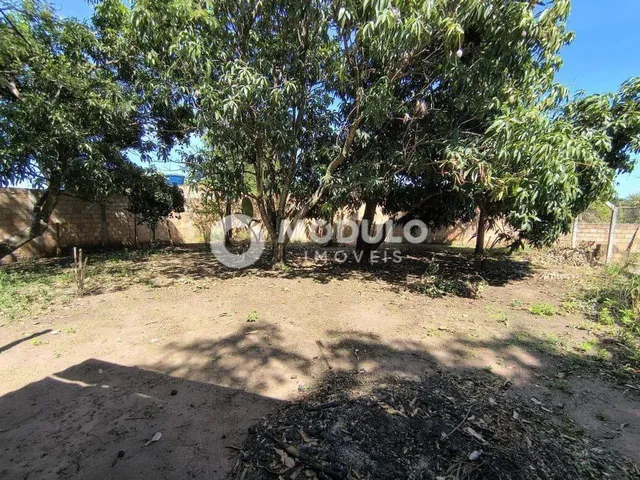 Imagem 7: Chácara para Locação no Bairro Morada Nova