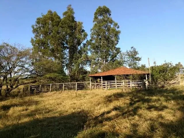Imagem: Fazenda no Município de Veríssimo Mg