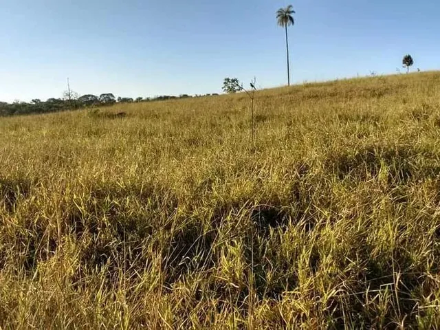 Imagem 2: Fazenda no Município de Veríssimo Mg