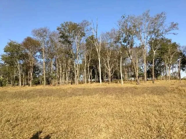 Imagem 3: Fazenda no Município de Veríssimo Mg