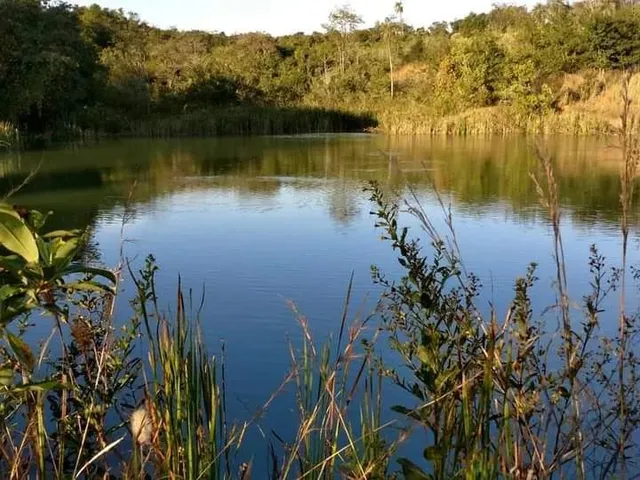 Imagem 4: Fazenda no Município de Veríssimo Mg