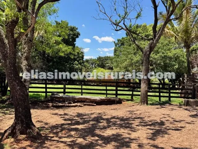Imagem: Fazenda 16 Alqueires em Uberlândia