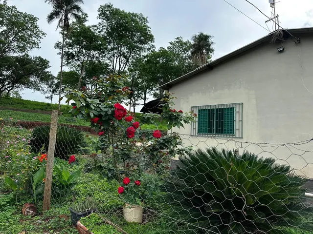 Imagem: Sítio a Venda em Uberaba