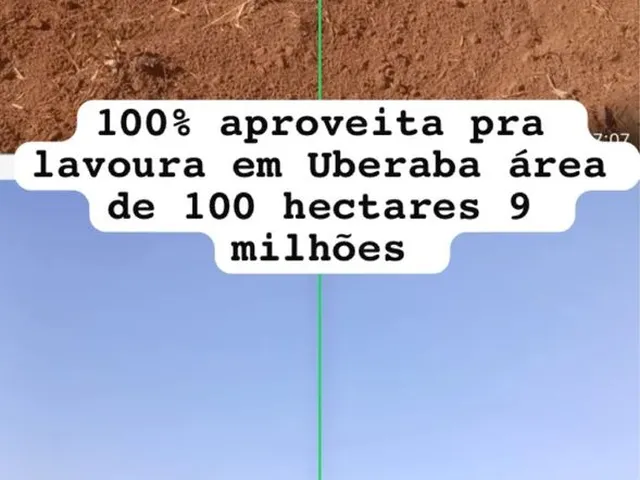 Imagem: Fazenda em Uberaba 100 Aproveita Lavoura