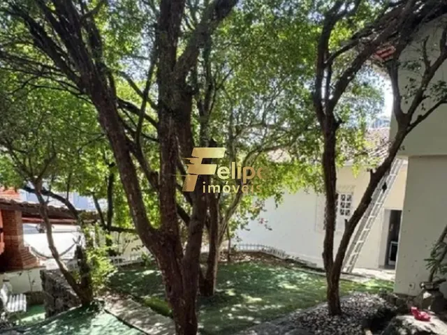 Imagem 3: BELÍSSIMA CASA DUPLEX, QUINTAL AMPLO, PISCINA COM CASCATA, POMAR, ESPAÇO GOURMET COM