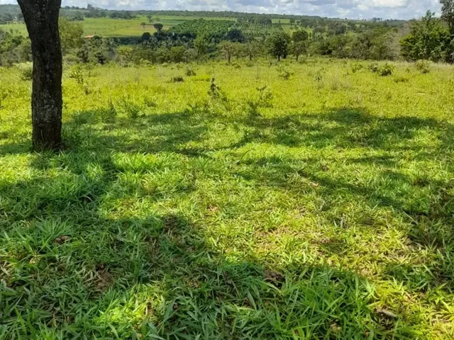 Imagem: Chácara Disponível para Venda na Área