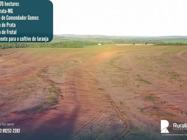 Imagem: Fazenda À Venda em Prata-Mg Excelente para