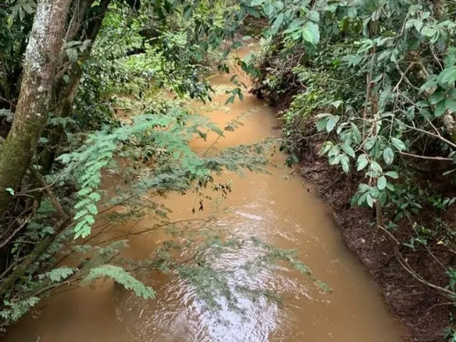 Imagem: Fazenda À Venda no Município de Campina