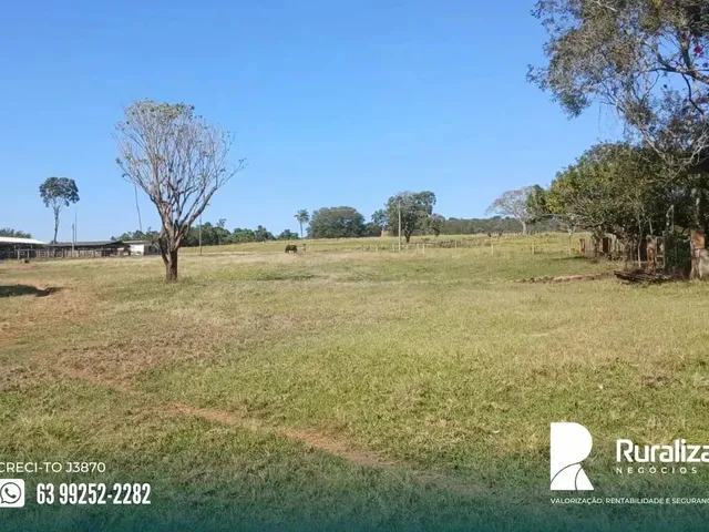 Imagem: Uberaba - Mg, Propriedade Dupla Aptidão