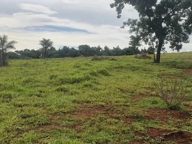 Imagem: Fazenda À Venda em Monte Alegre de Minas
