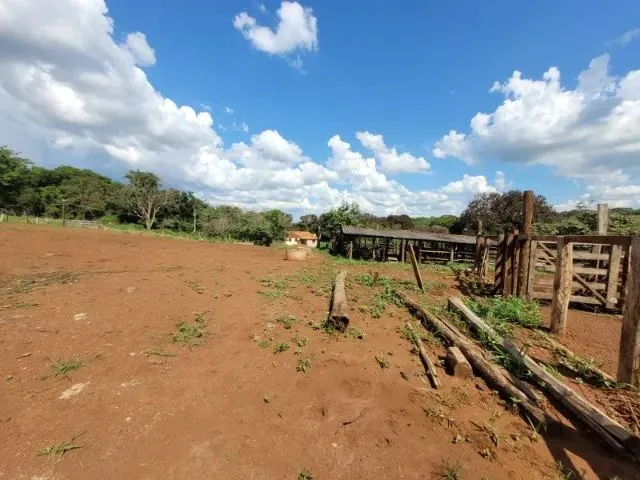 Imagem 7: Fazenda À Venda em Monte Alegre de Minas